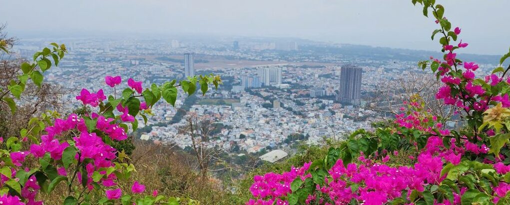 Vung Tau co hoa